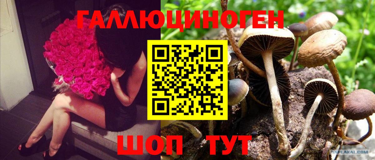 Псилоцибиновые грибы Magic Shrooms  Галлюциногенные грибы прущие грибы  Вход с VPN  Лыткарино 